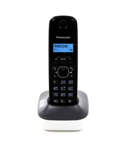 DECT Panasonic KX-TG1611UAW