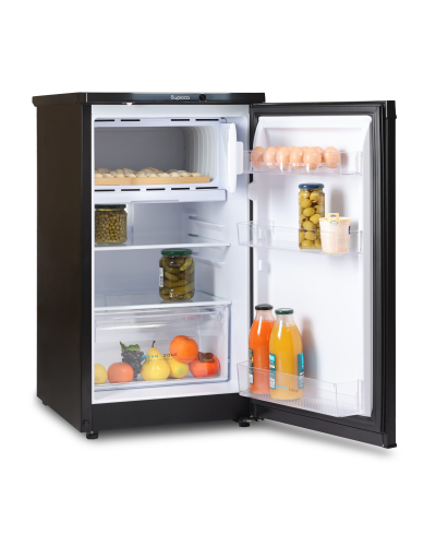 Soyuducu Biryusa B-408