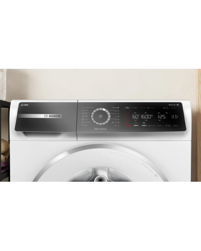 Paltaryuyan Bosch WGB256A0ME